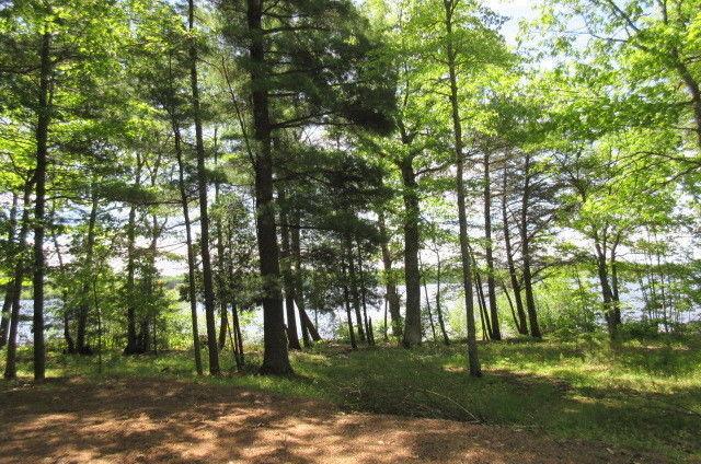 COX POINT ROAD, CUMBERLAND BAY (WATERFRONT LOT)