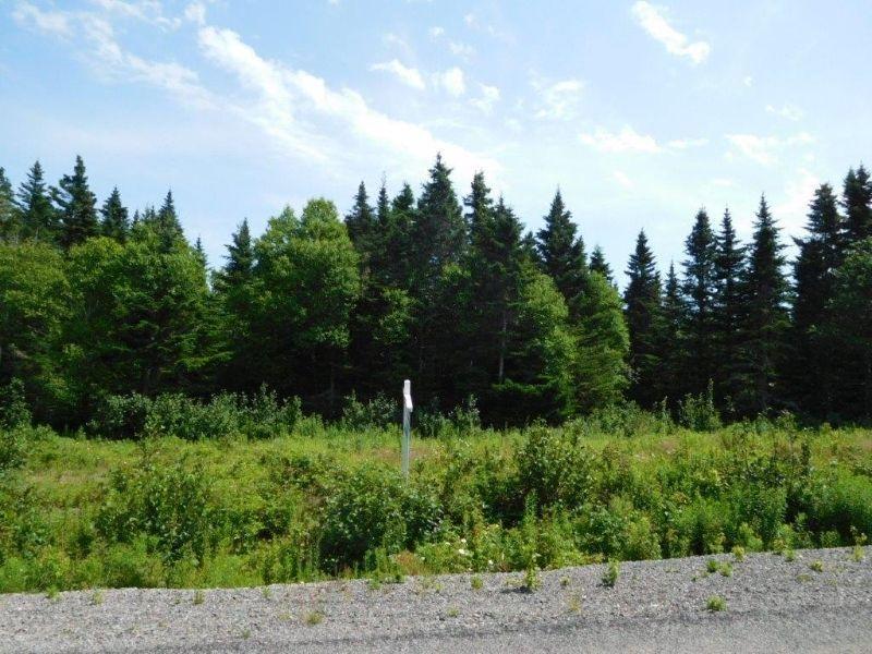 KENMORE TRAIL (Lot 10-1), WEST QUACO (WATER VIEW)