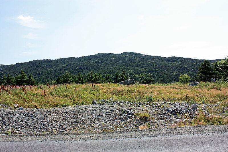 Ocean View Lot in Portugal Cove - Lot#1