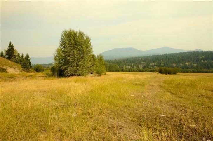 Rural 160 Acre Property - Very Private - Great Buy!