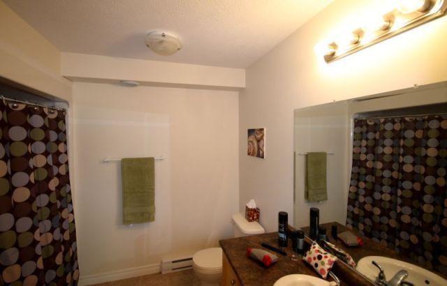 1 room in 3 bedroom apart, 450 only, close to unb & stu