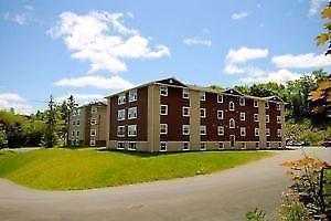 1 room in 3 bedroom apart, 450 only, close to unb & stu