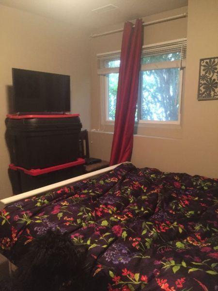 Room for rent for Female Student or working professional